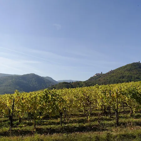 Le Clos Saint-vincent Hotel 4*