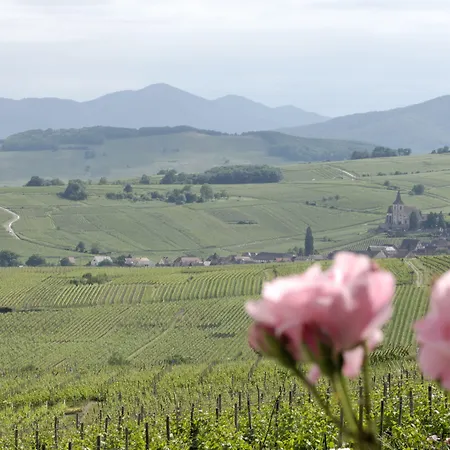 Le Clos Saint-vincent Hotel Ribeauvillé