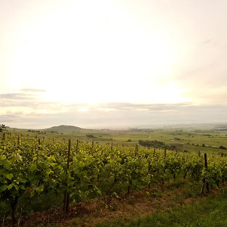 Le Clos Saint-vincent 4*