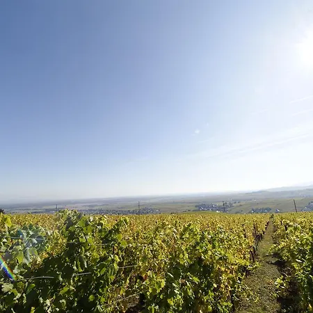 Le Clos Saint-vincent Ribeauvillé